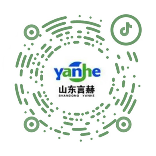 言赫公司抖音账号